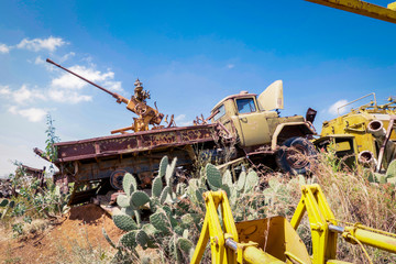 Green Cactus near the Crushed Venicles on the Tank Graveyard in Asmara, Eritrea