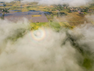 Aerial view rainbow halo over cloud and paddy field.