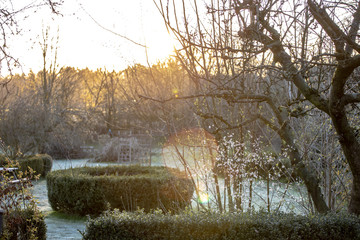 Frost im Frühlingsgarten, Sonne Gegenlicht, klirrend kalt