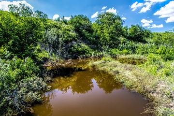 Calm Water on the Creek