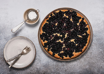 Top view of fresh baked curd cake with blueberries on rustic background. Delicious homemade sweet food concept. Copy space.