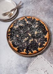 Traditional fresh baked blueberry curd cake with powdered sugar on rustic background. Delicious homemade sweet food concept. Selective focus. Copy space.