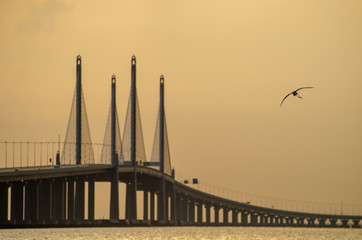 A bird fly over Penang second bridge in morning.