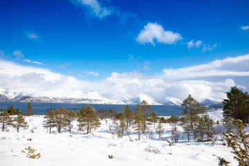 Skiing in the Velfjord mountains, View to sea, Nordland county
