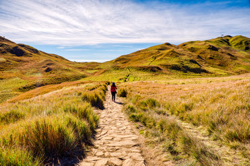 Adult female in red shirt hiking the scenic trail of Mount Pulag National Park, Benguet, Philippines