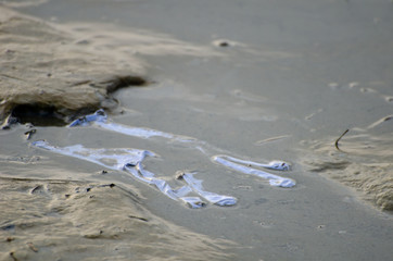 Rubbish latex glove throw at coastal.