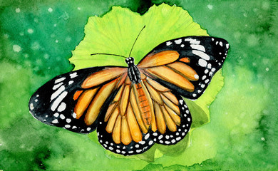 Watercolor Monarch Butterfly on Green Abstract Background. 
Hand Drawn Illustration 