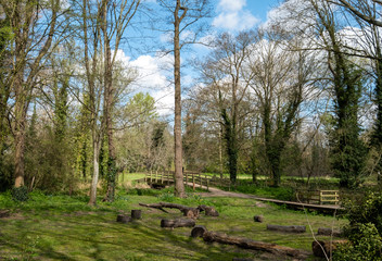 Eastcote House Gardens next to the River Pinn on the Celadine Way, in the Borough of Hillingdon, London, UK. Photographed in springtime.