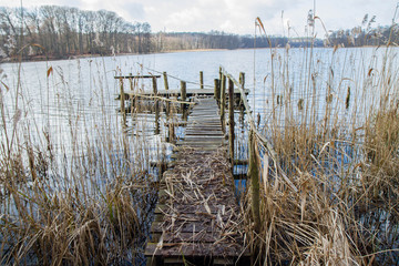 Bridge on a lakeside surrounded with reeds