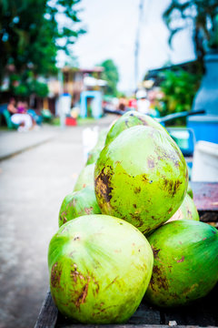 Cosa Rica, Coconuts at Tortuguero National Park