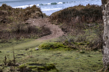 Sand path leads to the beach at Whitepark Bay, Causeway Coast, Northern Ireland, UK