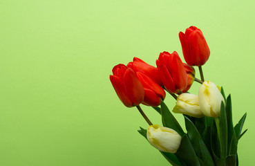 Still life with a bouquet of yellow and red tulips in front of a green wall.copyspace for text