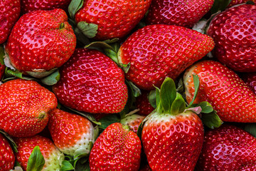 Cesta de fresas en el mercado a la venta