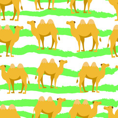 Camels, animals, fashion, travel hand drawn vector seamless pattern on white background. Concept for wallpapers, wrapping paper , cards 