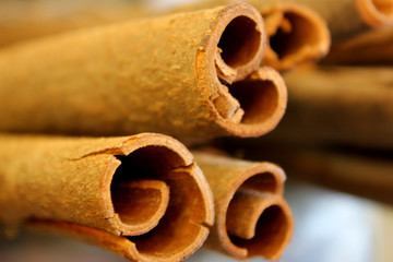 cinnamon sticks on a white background