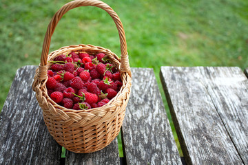 Fototapeta na wymiar fresh raspberries in a basket