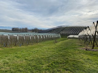 wanderweg am bodensee in immenstadt