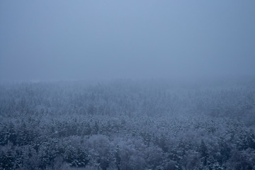 Fototapeta na wymiar Misty winter landscape, snow-capped mountains, snow-covered forest. View from above.selective focus