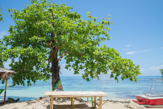 Winnifred Beach, Jamaica. Big green tree, turquoise waters, little waves and ripples
