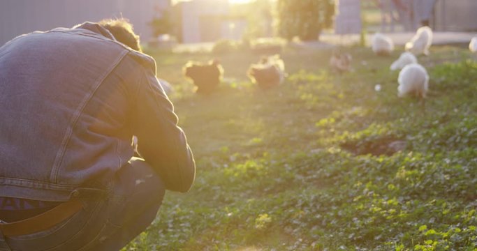 Man in jean jacket taking photos of chickens in farm yard at sunrise - from behind