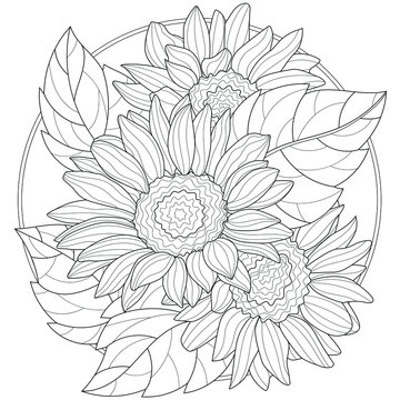 Sunflowers.Coloring book antistress for children and adults. Illustration isolated on white background.Zen-tangle style. Black and white drawing. T-shirt emblem, logo or tattoo with doodle.
