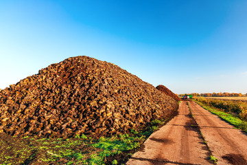 Cutted peat was piled up in a heap after drying. It will be grounded, packed and then sold as...