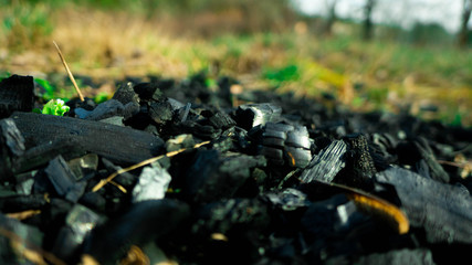 ashes on grass