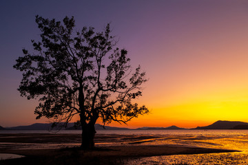Naklejka na ściany i meble Twilight on the beach and colorful sky with tree