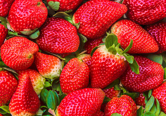 Cesta de fresas en el mercado a la venta