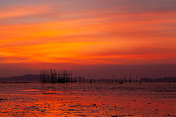 Landscape with the colorful sky and Shallow waters pound nets or Shallow waters nets