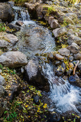 Mountain stream in the autumn forest. Russia, Altai Republic, Ulagansky District, Chulyshman River, Akkrum tract