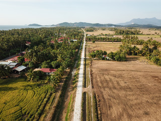 Fototapeta na wymiar Malays house and harvested paddy field at Kuala Muda.