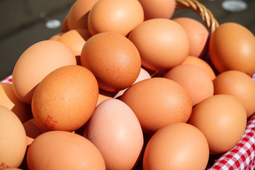 A pile of fresh chicken eggs
