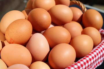 A pile of fresh chicken eggs