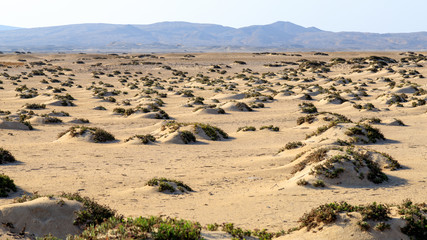 Fototapeta na wymiar Wüste in Ägypten