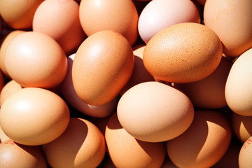 A pile of fresh chicken eggs