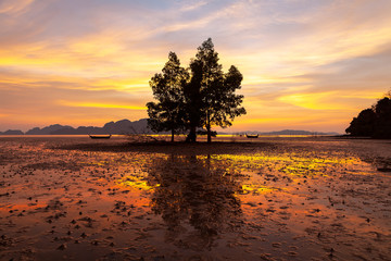 Landscape and colorful sky in the morning with tree reflected