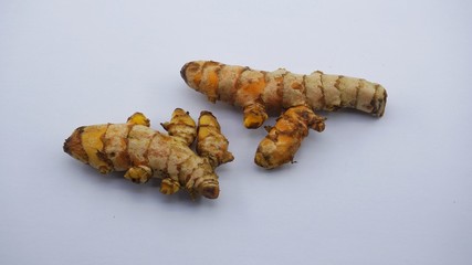 turmeric (Curcuma longa) on a white background.