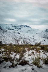 Parque nacional laguna del laja en invierno