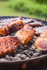 Marineted, spicy, pork filet pieces on charcoal grill outside in garden. Green blurred background. Barbeque, rare meat, summer.