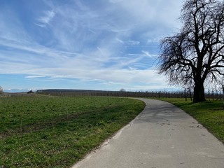 Wanderung ebi meersburg am bodensee