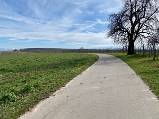 Wanderung ebi meersburg am bodensee