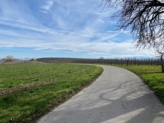 Wanderung ebi meersburg am bodensee