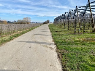 Wanderung ebi meersburg am bodensee