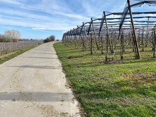 Apfel und Weinweg bei Immenstadt in deutschland