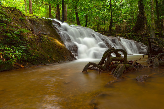รูปภาพManora – เลือกดูภาพถ่ายสต็อก เวกเตอร์ และวิดีโอ558 | Adobe Stock