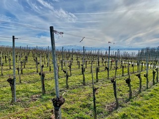 Apfel und Weinweg bei Immenstadt in deutschland