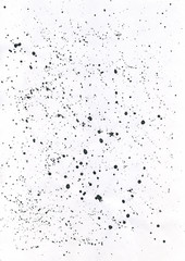 Fototapeta na wymiar Ink splatter splashes isolated on white background. Hand drawn ink texture backdrop.