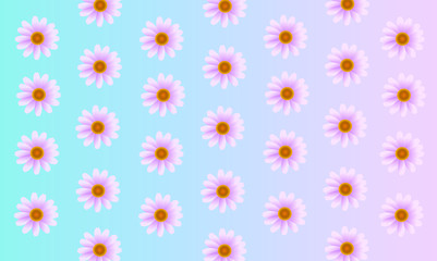 Pink flower pattern on pastel background