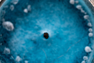 Fototapeta na wymiar Abstract close up of unfocused blue candle like ice as macro photography